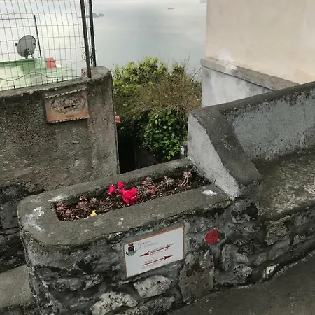 Maison Rosa *