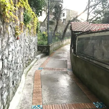 Maison Rosa דירה *